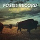 FOSSIL RECORD/A LITTLE WEIGHT(fWpbNCD)