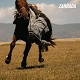 ZAHRADA/S-T (LTD.500)