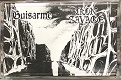 GUISARME // IRON SAVAGE/SPLIT TAPE VOL.4 2025 (LTD.30)